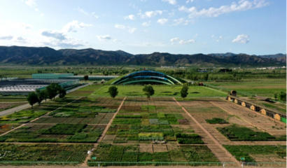 蒙草生態(tài)上市十周年 以種業(yè)為本，科研當(dāng)先，深耕生態(tài)修復(fù)的“中國草”